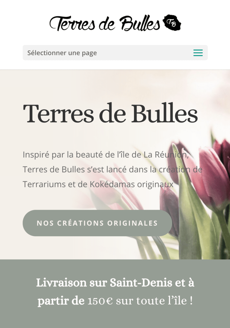 Aperçu du site internet de l'association TerresDeBulles