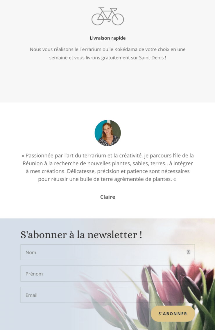 Aperçu du site internet de l'association TerresDeBulles