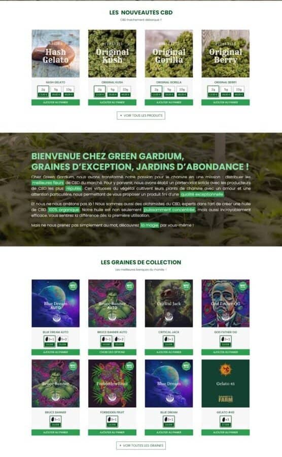 B (2) Aperçu du site internet de Art et Culture ébène