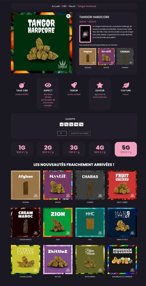 Aperçu du site internet de Art et Culture ébène